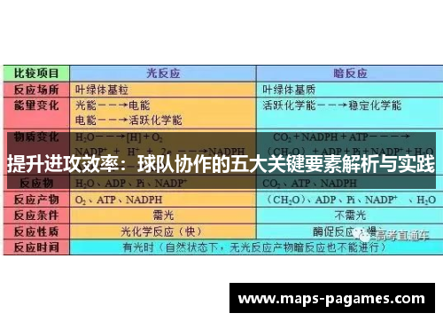 提升进攻效率：球队协作的五大关键要素解析与实践
