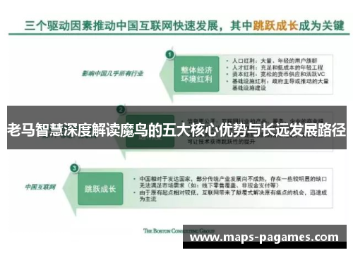 老马智慧深度解读魔鸟的五大核心优势与长远发展路径